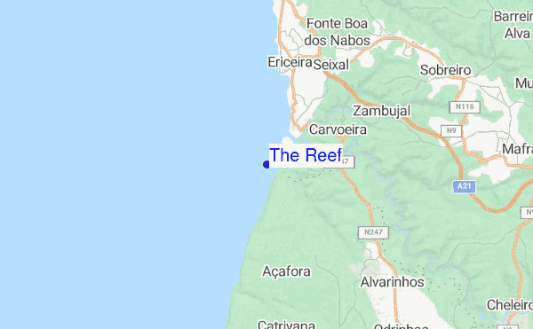 The reef.12