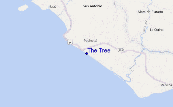 The Tree location map