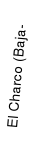 El charco
