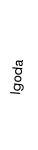 Igoda