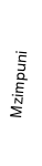Mzimpuni
