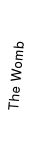 The womb