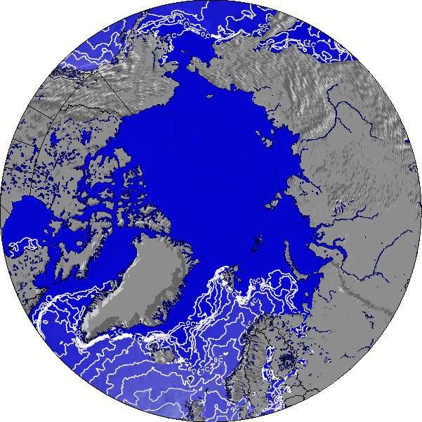 Arctic Sea Temperature Map