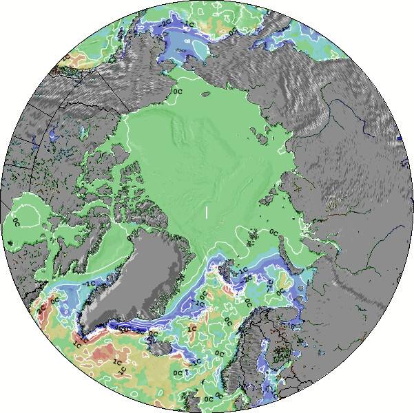 Arctic Sea Temperature Anomaly Map