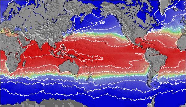 Global-Pacific Temperaturas da Superfície do Oceano Mapa