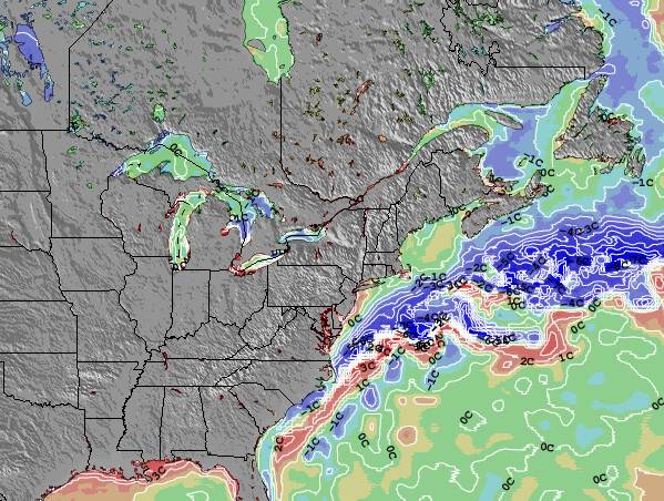 Delaware Sea Temperature Anomaly Map