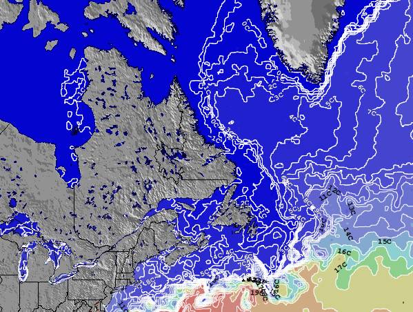 Newfoundland Temperaturas da Superfície do Oceano Mapa