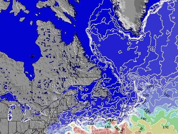 Newfoundland Temperatura del Mar Mapa