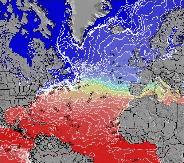 North-Atlantic Temperatura del Mar Mapa