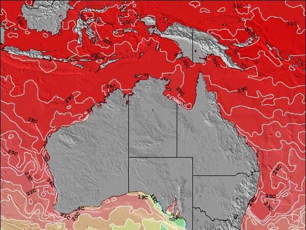 Northern-Territory Sea Temperature Map