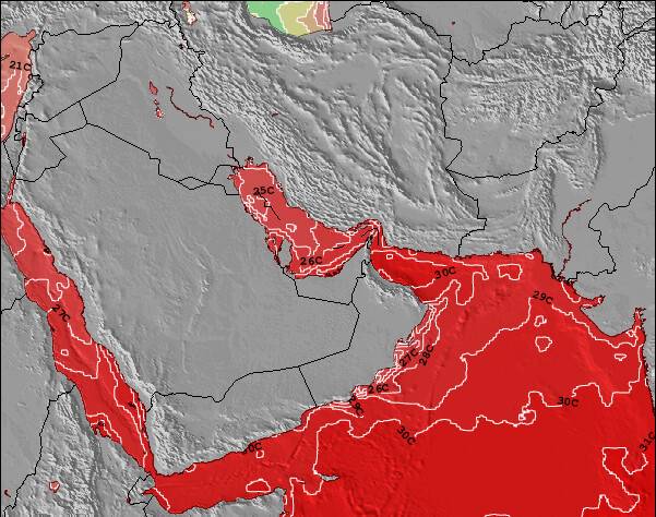 Emirati Arabi Uniti Temperature della superficie del mare Mappa