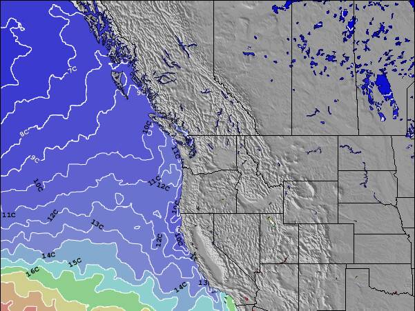 Washington Temperature della superficie del mare Mappa