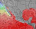 Mexico Sea Water Temperature