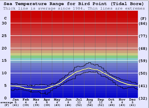 Bird Point (Tidal Bore) Water Temperature Graph