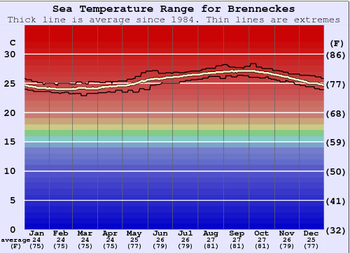 Brenneckes Water Temperature Graph