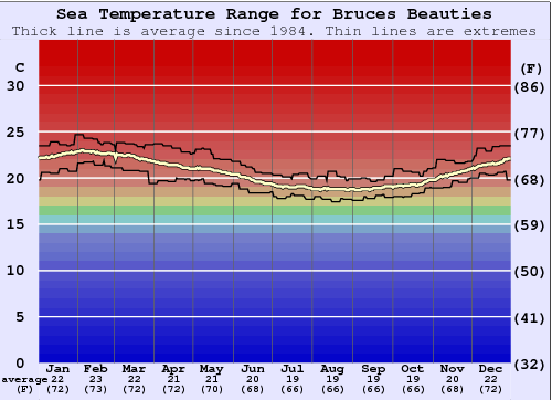 Bruces Beauties Water Temperature Graph