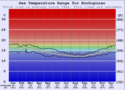 Buchupureo Water Temperature Graph