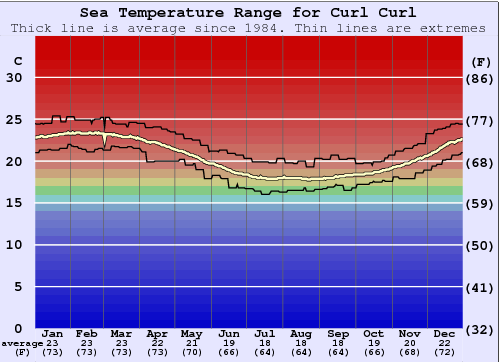 Curl Curl Water Temperature Graph