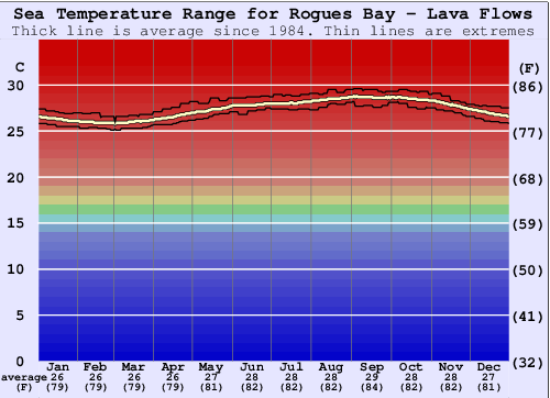 Rogues Bay - Lava Flows Water Temperature Graph