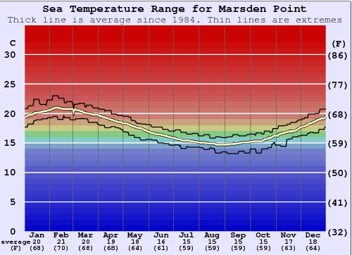 Marsden Point Water Temperature Graph