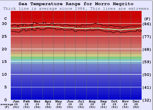 Morro Negrito Water Temperature Graph