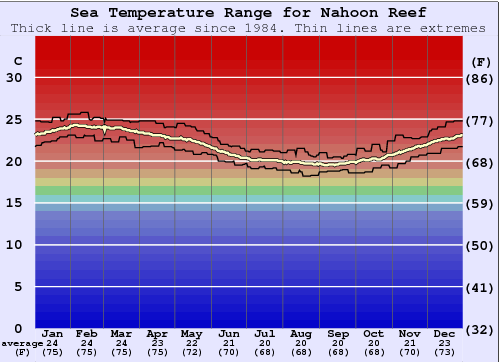 Nahoon Reef Water Temperature Sea And Wetsuit Guide Eastern Cape nahoon-reef-water-temperature-sea-and-wetsuit-guide-eastern-cape