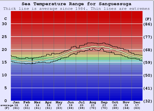 Sanguessuga Water Temperature Graph