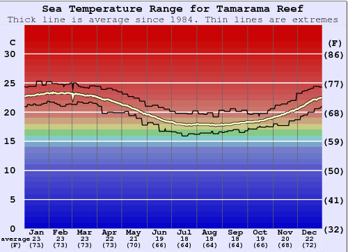 Tamarama Reef Water Temperature Graph