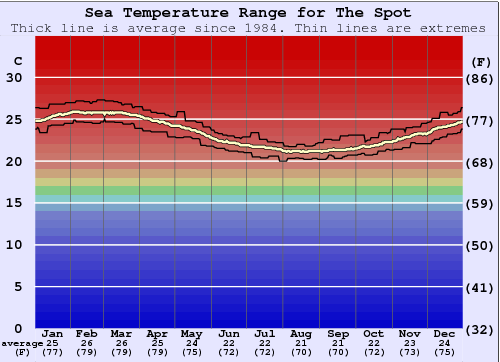 The Spot Water Temperature Graph