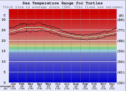 Turtles Water Temperature Graph