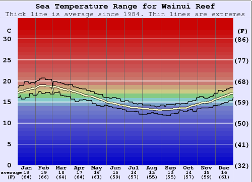 Wainui Reef Water Temperature Graph