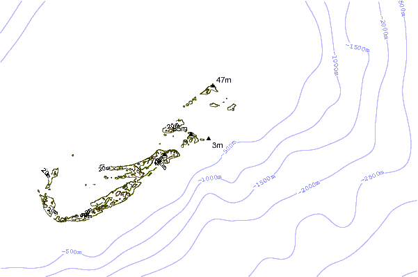 Shoreline around Tuckers