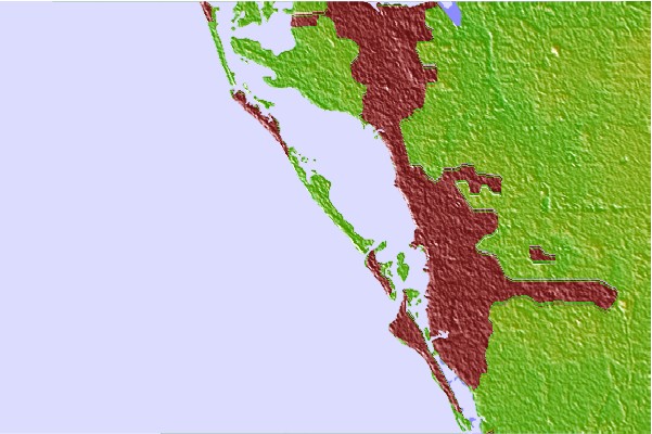 Surf spots located close to Turtle Beach