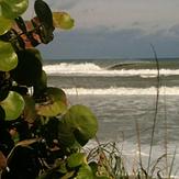 Sandy Barrel, Jap Rock