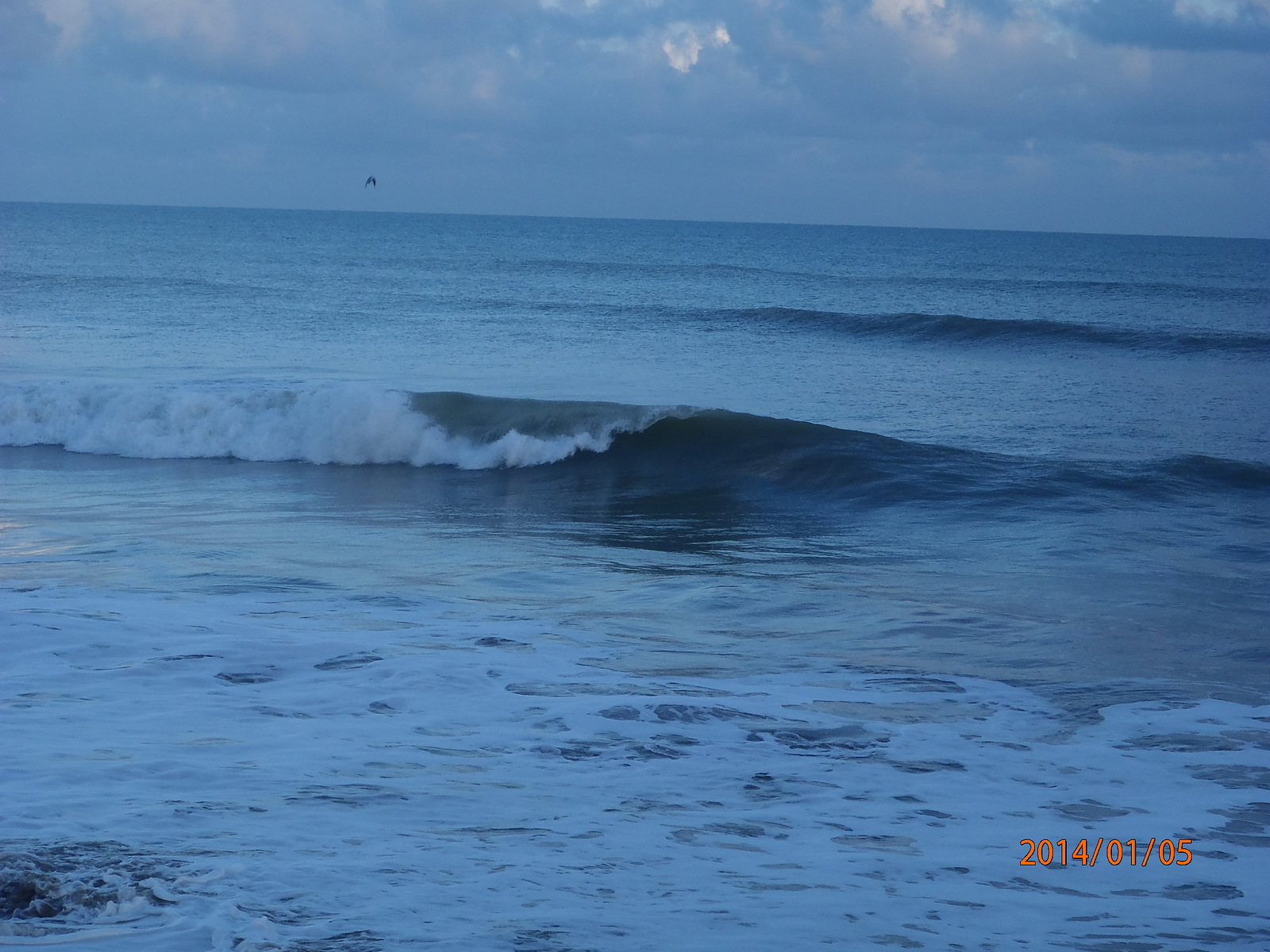 biomar reef, Touros Area