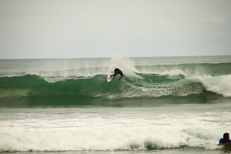 Unknown, Ohope Beach