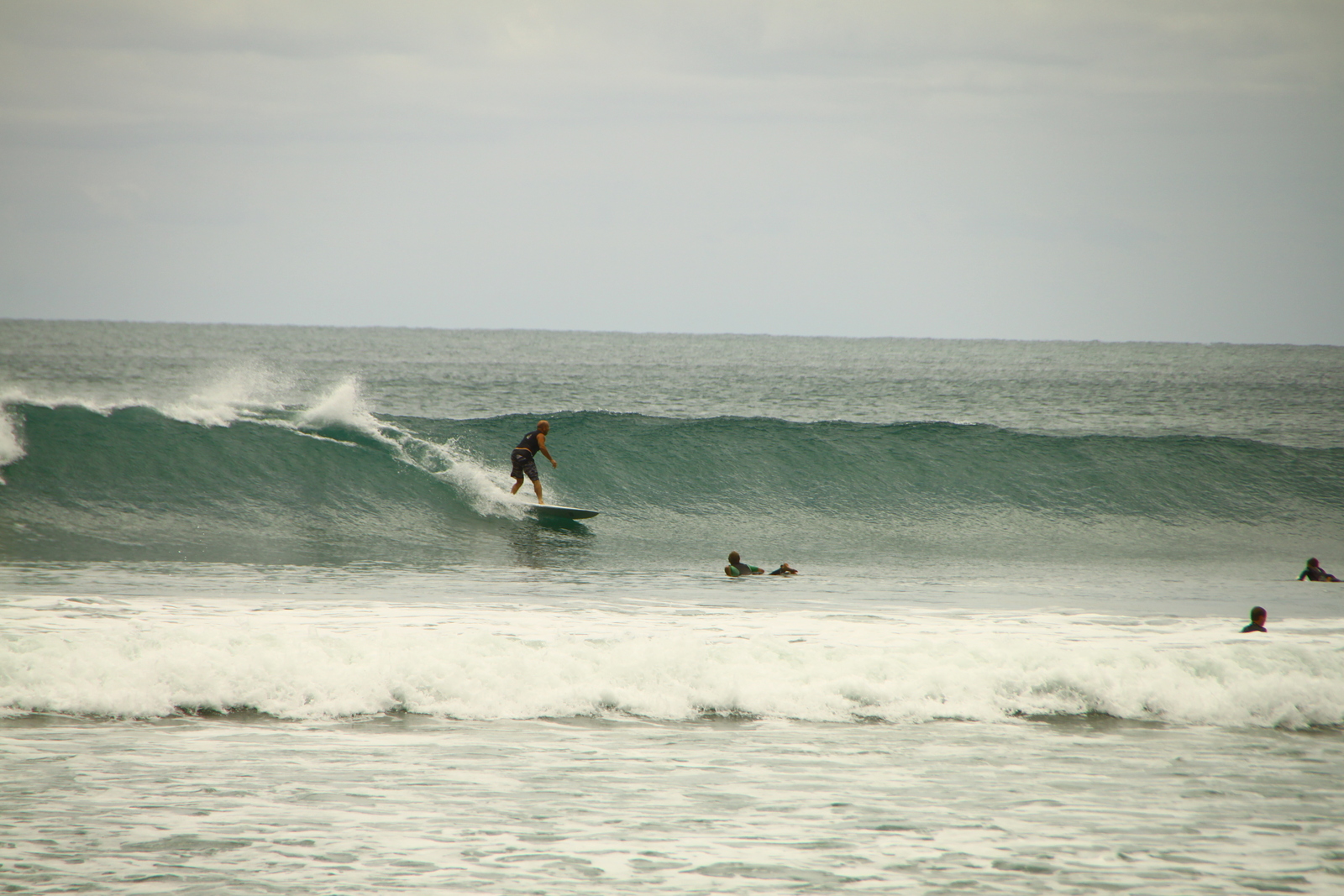 Beaver, Ohope Beach