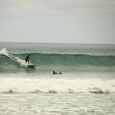 Beaver, Ohope Beach