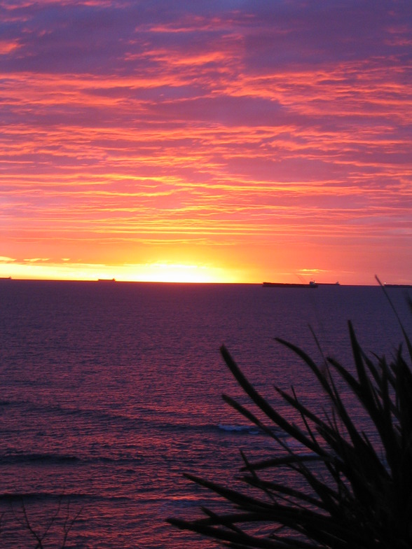 dawn patrol, JD Reef