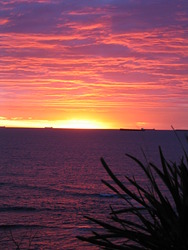 dawn patrol, JD Reef photo