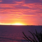 dawn patrol, JD Reef