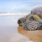 Praia do Guriri