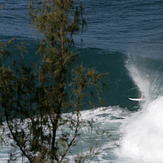 Honolua local boyz, Honolua Bay