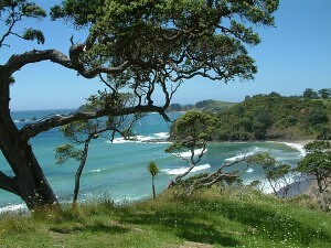 Summer lines, Moureeses