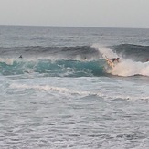 fantail, Dunes