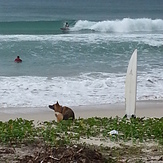 scratch it Max, Kudat (Pantai Kosuhui)