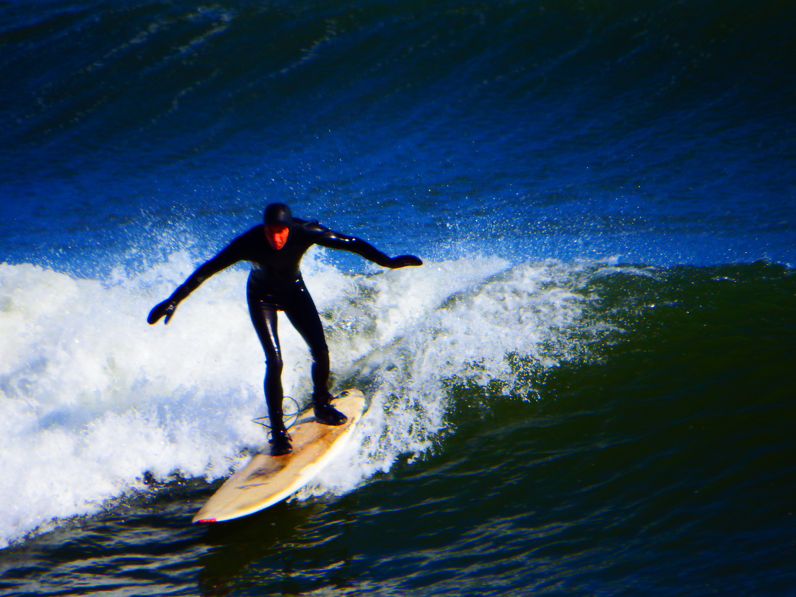 close up, Broad Cove