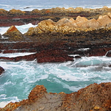 Coastline in break zone, Spooners Cove