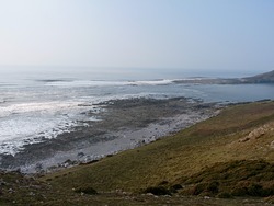 Incoming Neap Tide, Crabart photo
