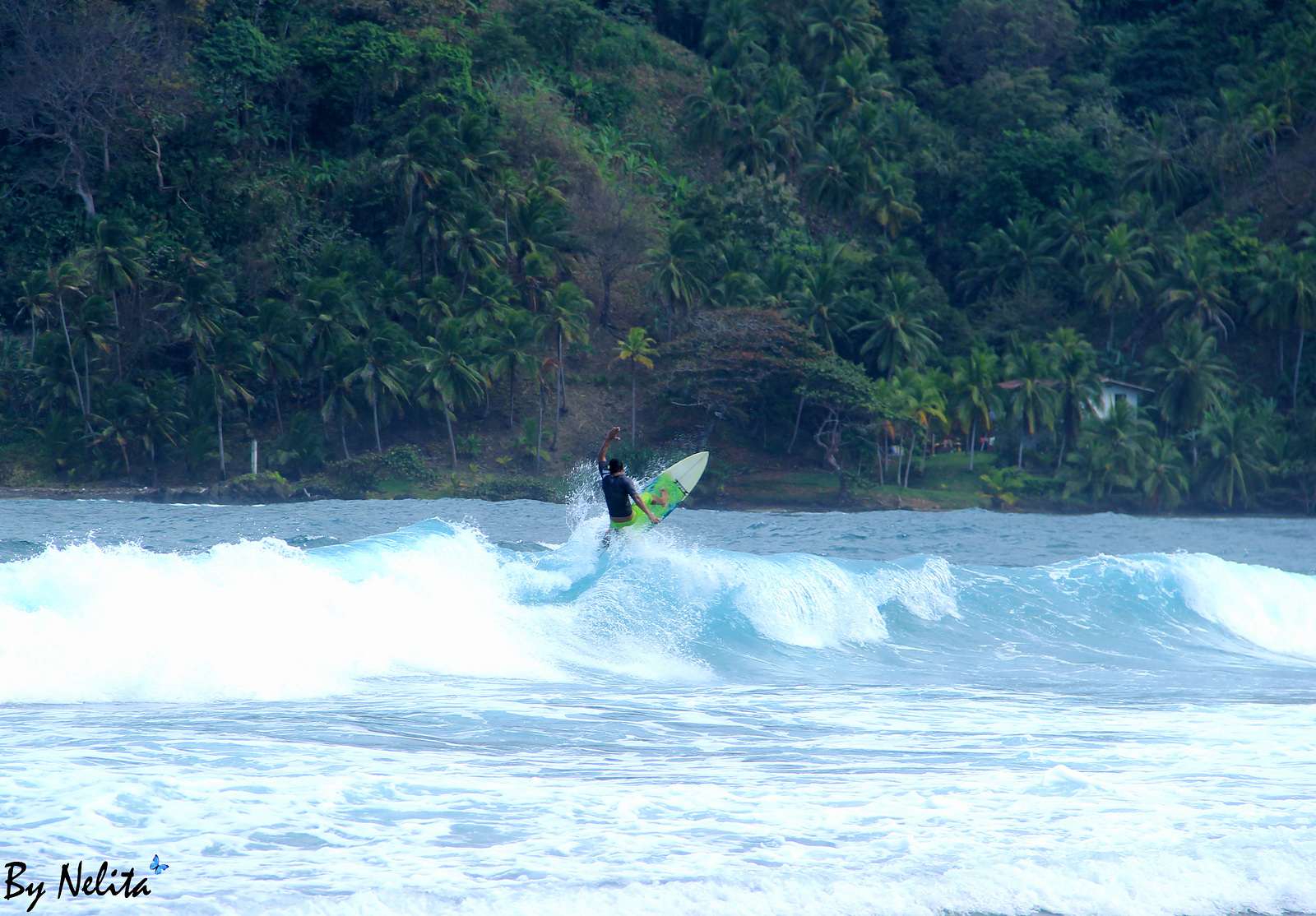 Caribe Panameño, Isla Grande